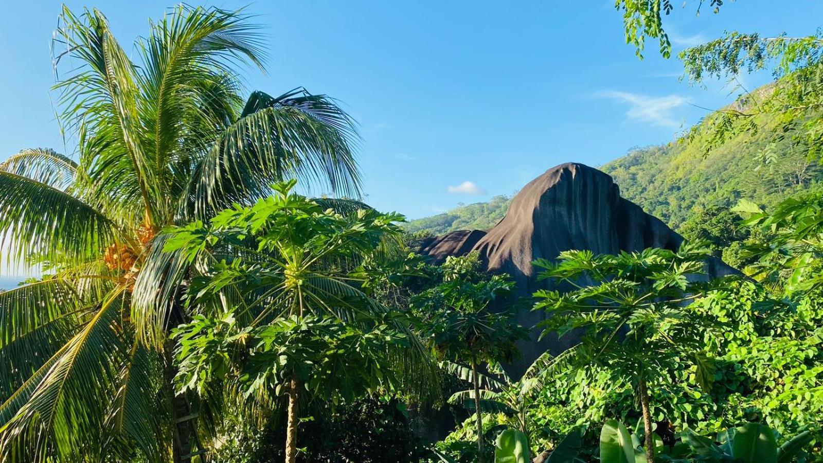 Josies Cottage Beau Vallon  Eksteriør billede